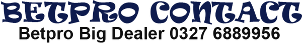 Betpro owner Number | 03276889956