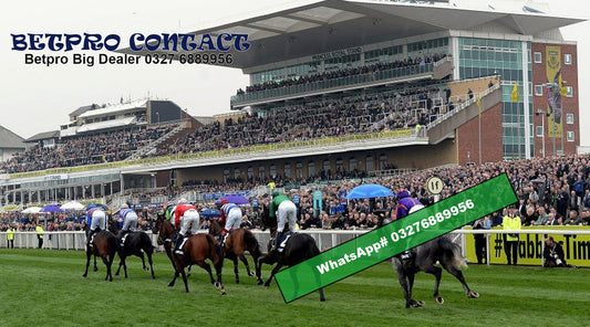 Grand National 2024: Who will take the world by surprise?
