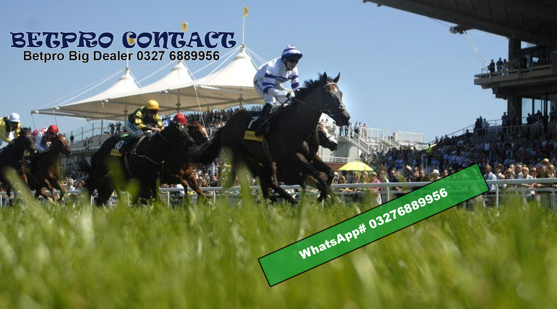 The greatest winners of the Sussex Stakes ever